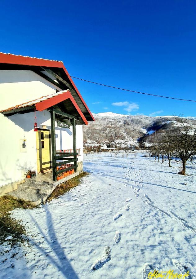 Апартаменти Kosta's Romantic House Плав