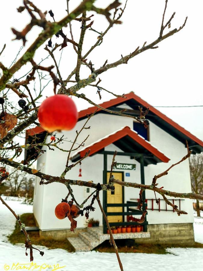 Kosta's Romantic House