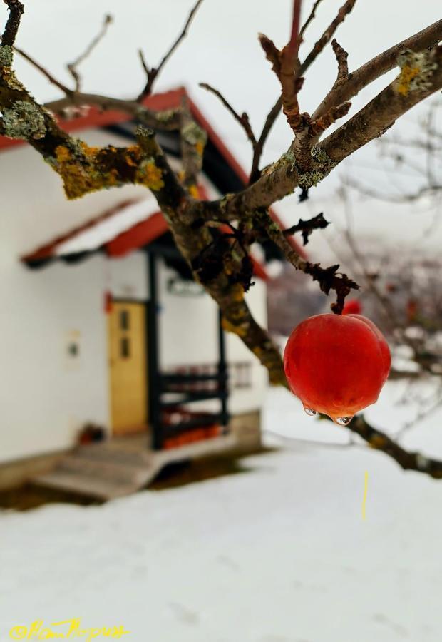 Kosta's Romantic House *